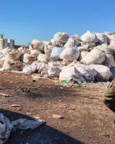 FORÇA VERDE DA BRIGADA MILITAR: Cruz Alta também teve fiscalizações 