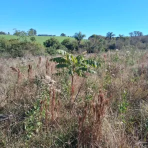 Brigada fiscaliza Plano de Recuperação de Área Degradada em Cruz Alta