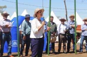 Abertura Oficial da XVII Fenatrigo Agrotecnologia foi nesta quinta 