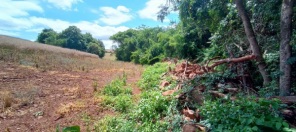 FISCALIZAÇÃO E COMBATE AO DESMATAMENTO>3ºBABM atua em Ibirubá e  Santa Bárbara
