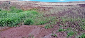 FISCALIZAÇÃO E COMBATE AO DESMATAMENTO>3ºBABM atua em Ibirubá e  Santa Bárbara
