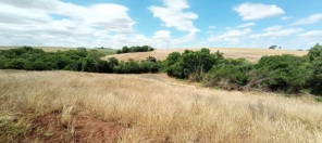 FISCALIZAÇÃO E COMBATE AO DESMATAMENTO>3ºBABM atua em Ibirubá e  Santa Bárbara