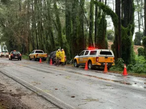 Motorista morre após árvore atingir carro na RSC-377