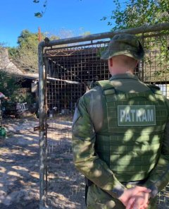 Brigada Militar flagra maus-tratos a cães em Cruz Alta