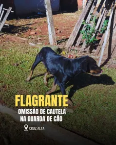 Homem é autuado após cão solto atacar animal em Cruz Alta