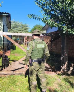 Homem é autuado após cão solto atacar animal em Cruz Alta