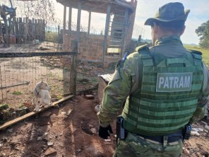 Batalhão Ambiental da BM resgata cão vítima de maus-tratos em Cruz Alta