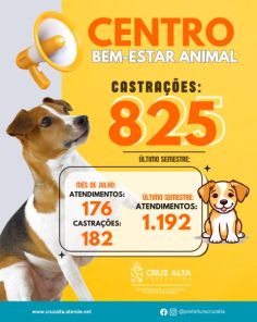 EM 2025> Centro de Bem-Estar Animal ultrapassa 800 castrações em Cruz Alta