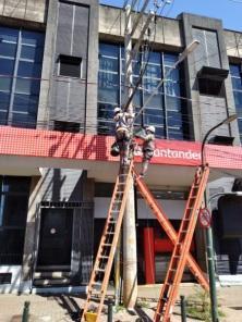 Mutirão organiza fios excedentes nos postes da Pinheiro Machado