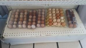 Quase uma tonelada de alimentos impróprios para consumo apreendidos em Panambi