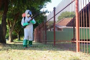 VILA LIZABEL: Saúde realiza bloqueio químico contra o mosquito da Dengue