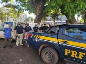 PRF realiza doação de cestas básicas ao Banco de Alimentos