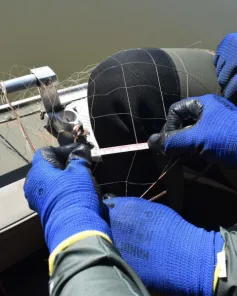 Fiscalização no Passo Real marca ações do Batalhão Ambiental no feriado