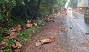 Caminhão derrama carga de óleo de soja após saída de pista na ERS-342 em Ijuí