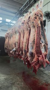 Abatedouro e agroindústria são interditados em Panambi