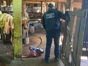 Polícia Civil realiza Operação Vaca Magra