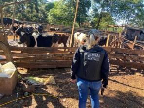 Polícia Civil realiza Operação Vaca Magra