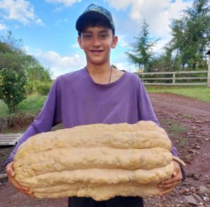 QUE CHIMIA!> Jovem agricultor de Santo Augusto colheu abóbora de 35 quilos