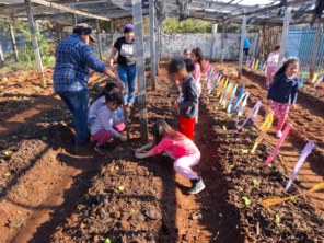  Escola Intendente Vasconcelos cultiva horta e promove educação ambiental