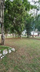 Cemitério Municipal passa por limpeza e manutenção 