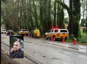 Identificado motorista que morreu após árvore atingir carro na RSC-377