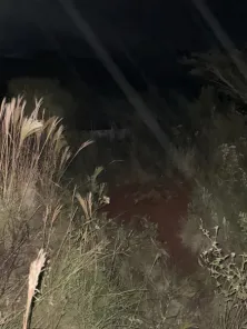 Motorista sai ileso após capotamento na Rodovia Jacob Della Mea, em Cruz Alta