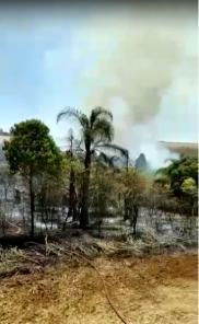 Fogo em vegetação no interior de Cruz Alta é combatido pelos Bombeiros