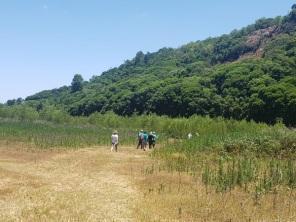 Grupo de caminhantes completou os 158 km dos Caminhos de Fátima