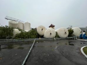 ANTES DO CICLONE>Forte Vendaval causa estragos no interior de Flores da Cunha