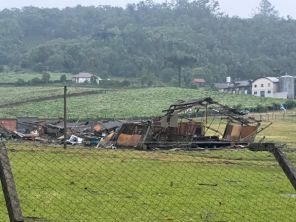 ANTES DO CICLONE>Forte Vendaval causa estragos no interior de Flores da Cunha