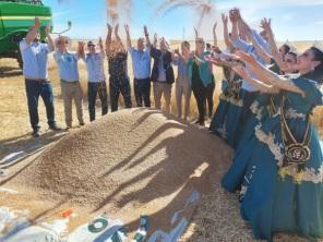 FENATRIGO: Abertura da Colheita do Trigo foi no sábado na Fazenda São Luiz