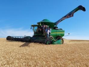 FENATRIGO: Abertura da Colheita do Trigo foi no sábado na Fazenda São Luiz