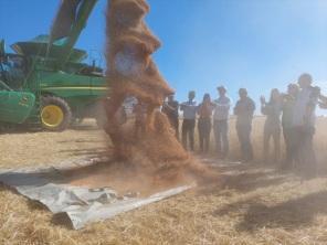 FENATRIGO: Abertura da Colheita do Trigo foi no sábado na Fazenda São Luiz