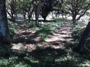 Andamento de obra na ponte de acesso Acelino Flores