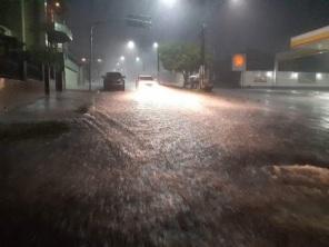 Chuva deve aliviar prejuízos na agricultura gaúcha 