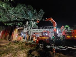 Corpo de Bombeiros começou a poda de árvores em frente a Estação Rodoviária
