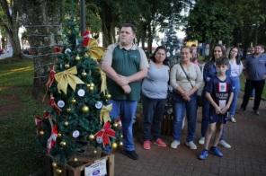 UM ENCANTO DE NATAL> Lançamento do 4º Caminho das Árvores Natalinas