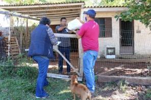 Entregas de cesta básicas continuam sendo realizadas em Cruz Alta