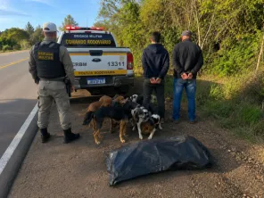 Dupla é detida por caça ilegal em abordagem na ERS-342 em Cruz Alta