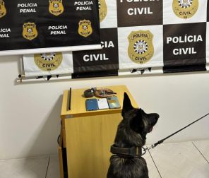 PEJUÇARA> Polícia Civil deflagra Operação Batoré contra o Tráfico de drogas