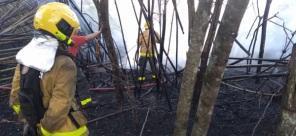 Corpo de Bombeiros combateu incêndio em vegetação no Bairro Tamoio