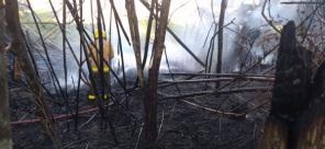 Corpo de Bombeiros combateu incêndio em vegetação no Bairro Tamoio