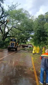 TEMPORAL> Vento destelha casas e derruba árvores em Cruz Alta na quinta-feira