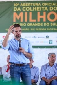 10ª Abertura Oficial da Colheita do Milho ocorreu em Jaguarão na sexta-feira