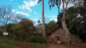 Horto Municipal recebeu sementes para a produção de hortaliças 