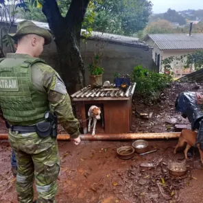 Brigada Militar prende mulher por maus-tratos a cães em Cruz Alta