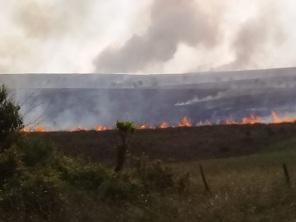 Incêndio de grandes proporções chama a atenção no final de semana em Cruz Alta