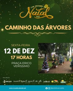 PRAÇA ERICO VERISSIMO>Caminho das árvores natalinas é montado 