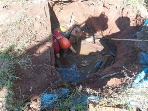 Cavalo cai em poço e é resgatado pelos Bombeiros na manhã do sábado em C. Alta