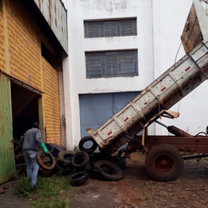 DENGUE> Continua a busca dos criadouros do mosquito Aedes aegypti em Cruz Alta
